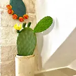 Alojamento de Acomodação e Pequeno-almoço Domus Klara Turi