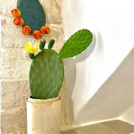 Bed and breakfast Domus Klara Turi