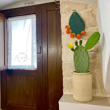 Domus Klara 3*