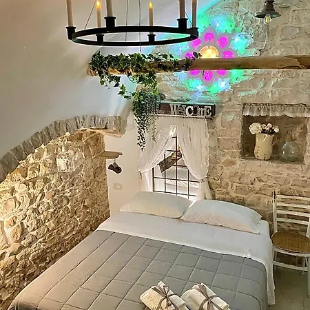 Domus Klara Turi